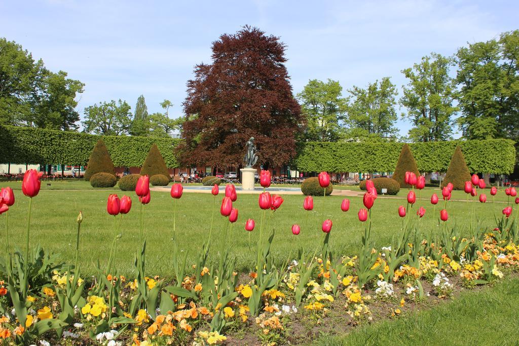 Promenada Poděbrady