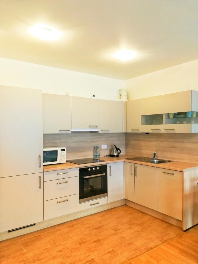 Apartment Promenada Podebrady